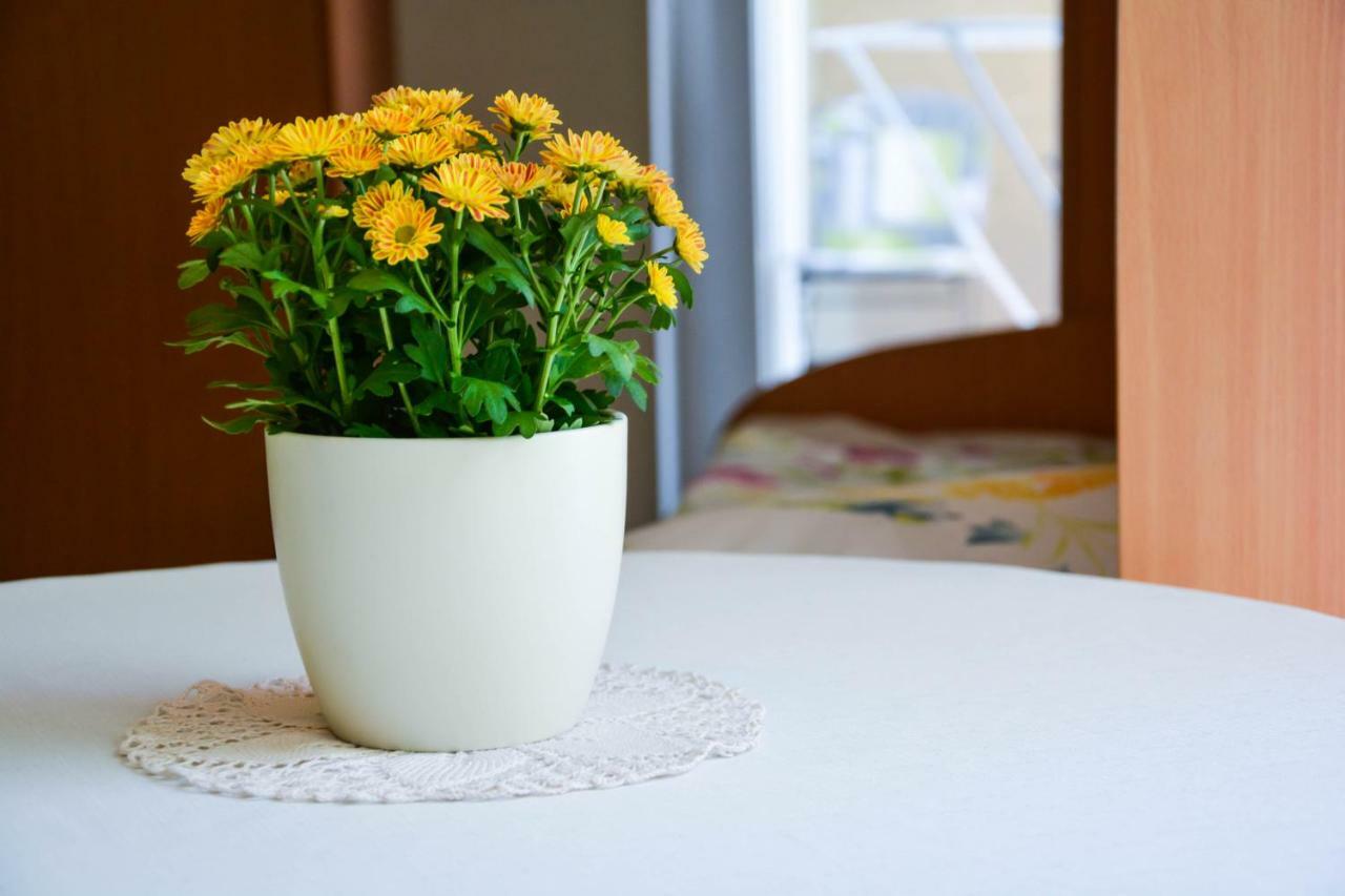Homestay Rosalia 류블랴나 객실 사진